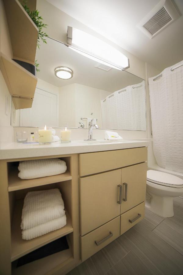 Studio Suite with Two Double Beds,1557494017:JPEG